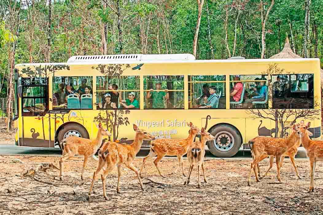 Vinpearl Safari Phu Quoc: Private Vehicle & Self-Guided Tour